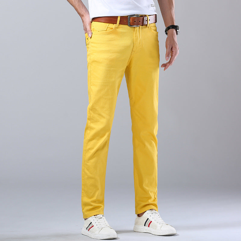 Portico Luxe Cotton Pants